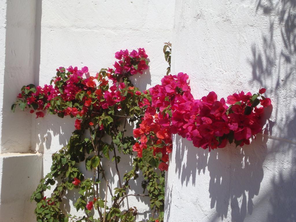 Masseria Bianca Di Puglia Monopoli Pokój zdjęcie